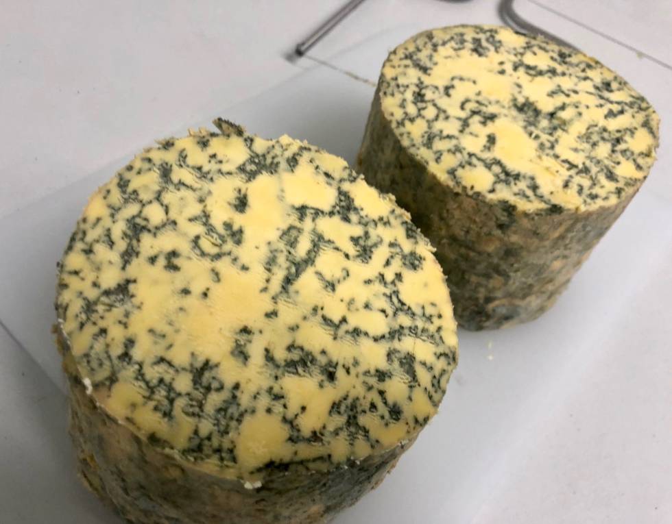Savel, el mejor queso azul de España 2019