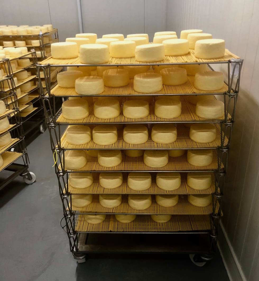 Savel, el mejor queso azul de España 2019