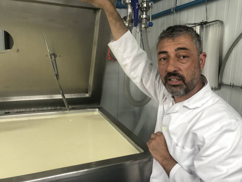 Savel, el mejor queso azul de España 2019