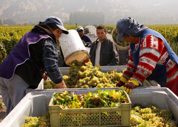 El corazón de los vinos de Chile