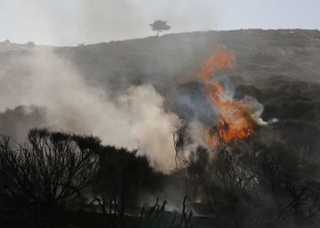 Los incendios en el Parque Nacional de la sierra del Guadarrama, en imágenes
