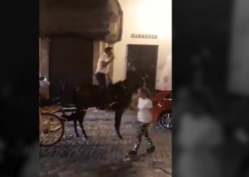 Indignación en Sevilla por el trato de un cochero a su caballo