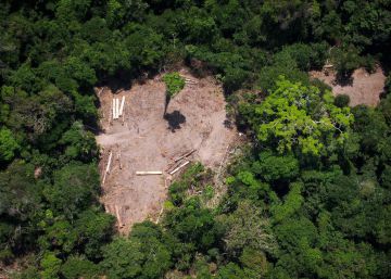 ¿Salvará la Amazonia los derechos humanos?