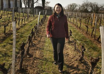 Os chineses vão às compras na agricultura francesa