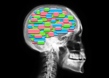 Como a atividade dos neurônios produz essa sensação única de estar vivo e consciente?