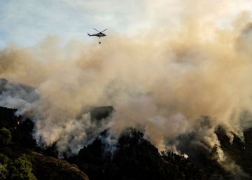 El incendio de Gran Canaria, en imágenes