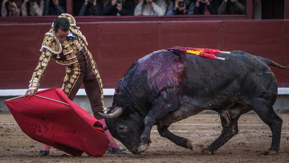 Pepe Moral muletea al toro 'Chaparrito'.