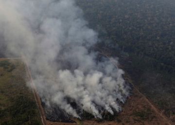 Arde la Amazonia