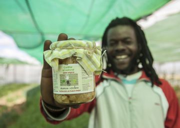 Una oportunidad multicultural para el campo de Salamanca