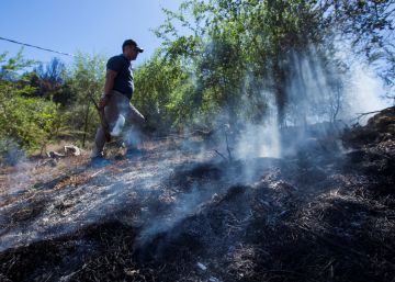 Así ha quedado la zona devastada por el incendio de Gran Canaria