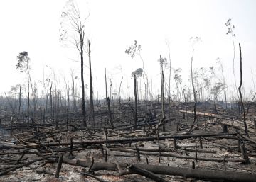 El Amazonas devorado por los incendios, en imágenes