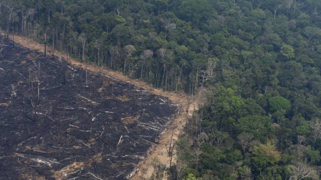 Un área quemada cerca de Porto Velho, en el estado brasileño de Rondonia, el 23 de agosto.