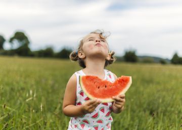 Nem vegano nem onívoro: para ser respeitoso com o planeta é preciso comer como um ‘climatarian’