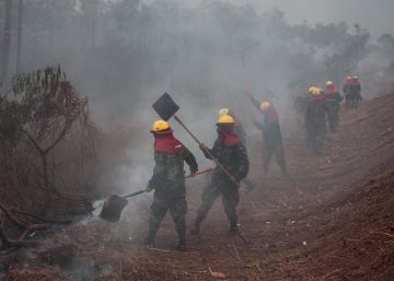 El arduo trabajo para sofocar los incendios forestales en Bolivia, en imágenes