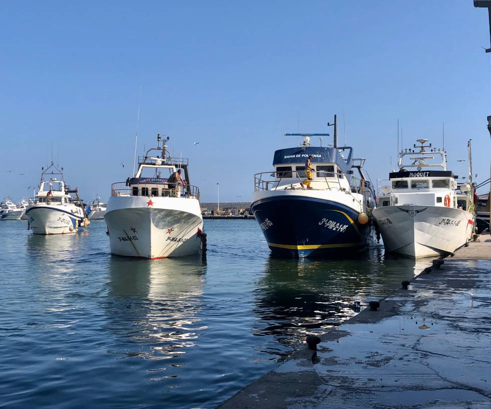Los boquerones de Málaga