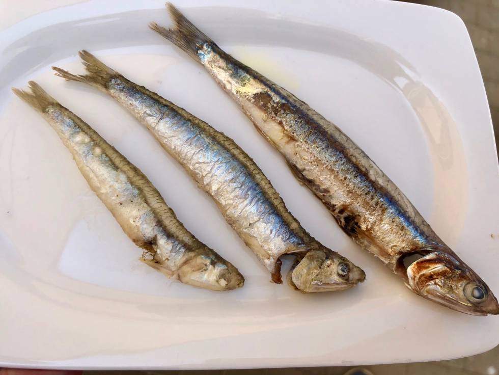 Fritura en el restaurante ChinChin. Impecables los dos boquerones más pequeños. El boqueron grande a la plancha Capel