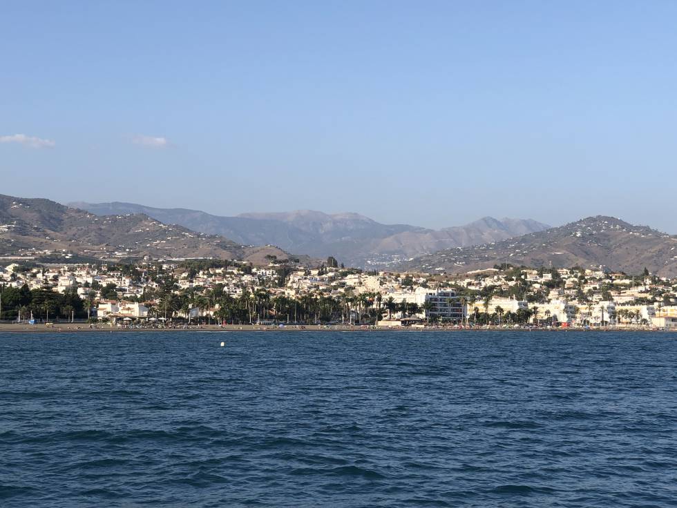 Los boquerones de Málaga