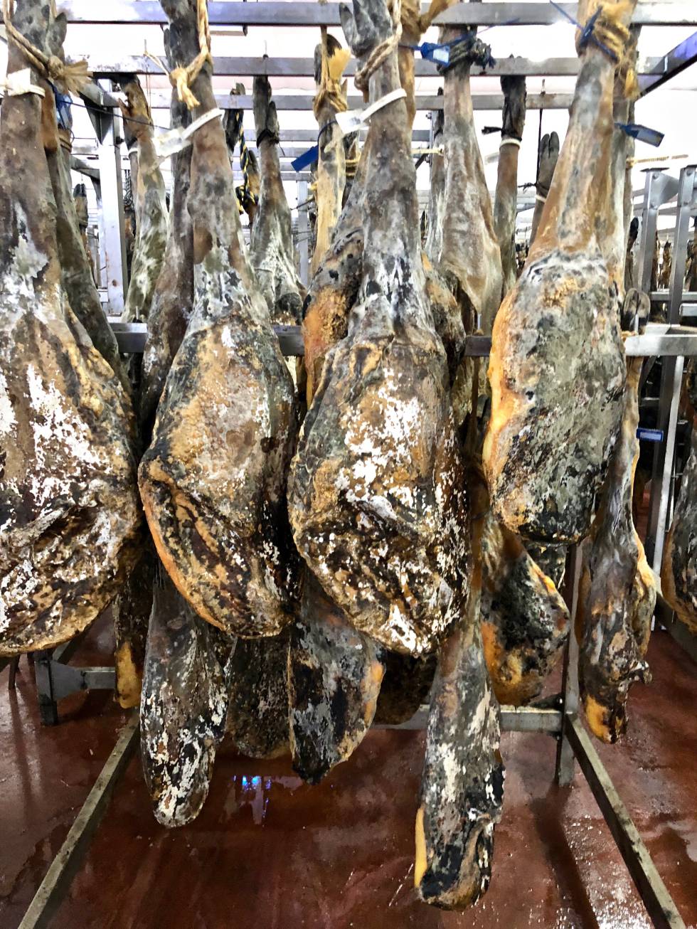 Jamones ibéricos de castañas y bellotas