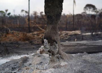 Incendios