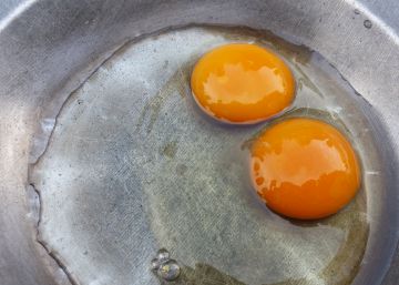 El bienestar y los huevos de dos yemas
