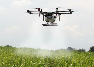 Cómo la tecnología digital puede ayudar a los pequeños agricultores de África