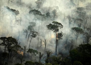 La huella de los incendios en la Amazonia