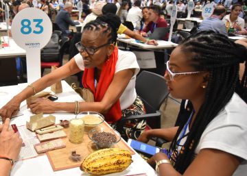 América Latina, de granero a supermercado de alimentos nutritivos