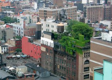 La experta que enseña cómo dejar que las plantas escalen los edificios de las ciudades