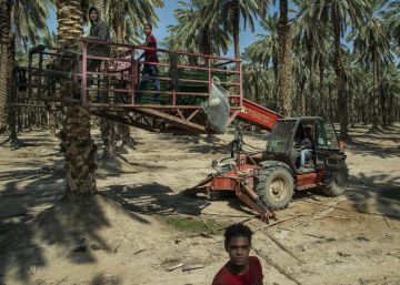 El bautismo israelí del valle del Jordán