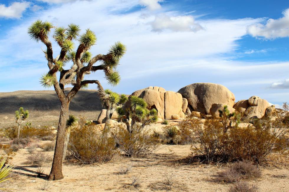 Los 12 desiertos más bellos (o casi) del mundo