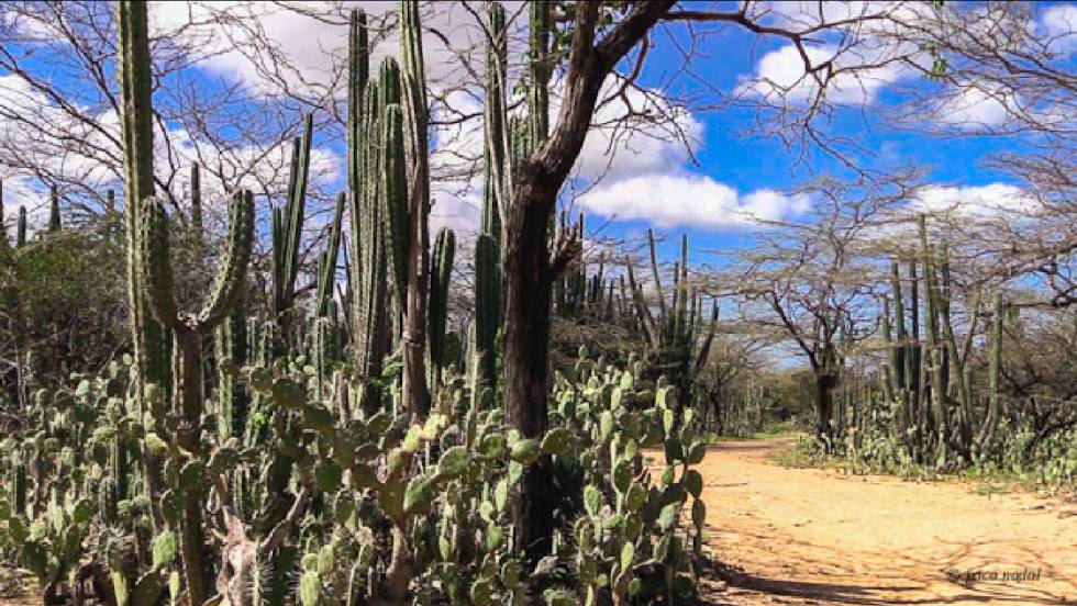 Los 12 desiertos más bellos (o casi) del mundo