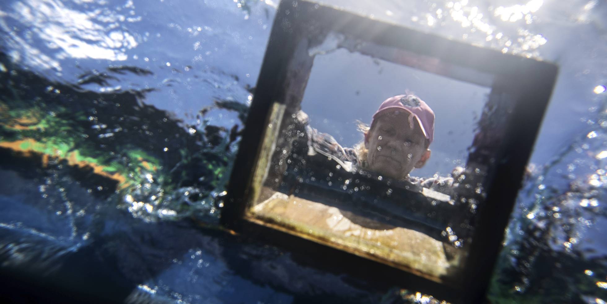 La repoblación de los corales jamaicanos