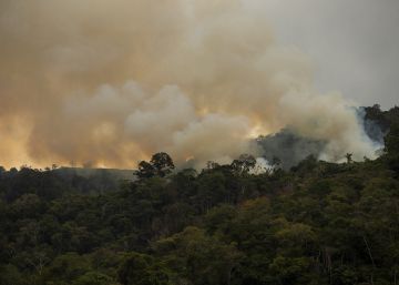 Os jovens ativistas frente à crise ecológica do século 21