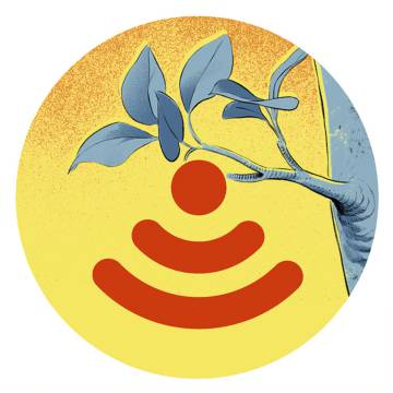 Una tableta que programa el riego y otros aliados tecnológicos de los agricultores