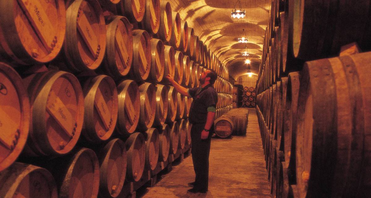 Pasillo de las bodegas Muga.