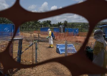 El mundo tiene que prepararse para la próxima gran pandemia letal El mundo tiene que prepararse para la próxima gran pandemia letal