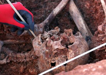 La exhumación de cuatro desaparecidos en 1936
en La Riba de Escalote,
Soria, en imágenes