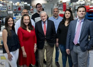 Un anticoagulante retrasa el alzhéimer en ratones