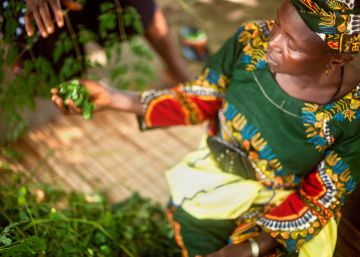 Empoderar a las agricultoras africanas