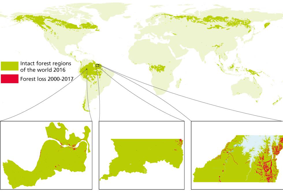 Uno de los mapas que hacen en colaboración con los indígenas.
