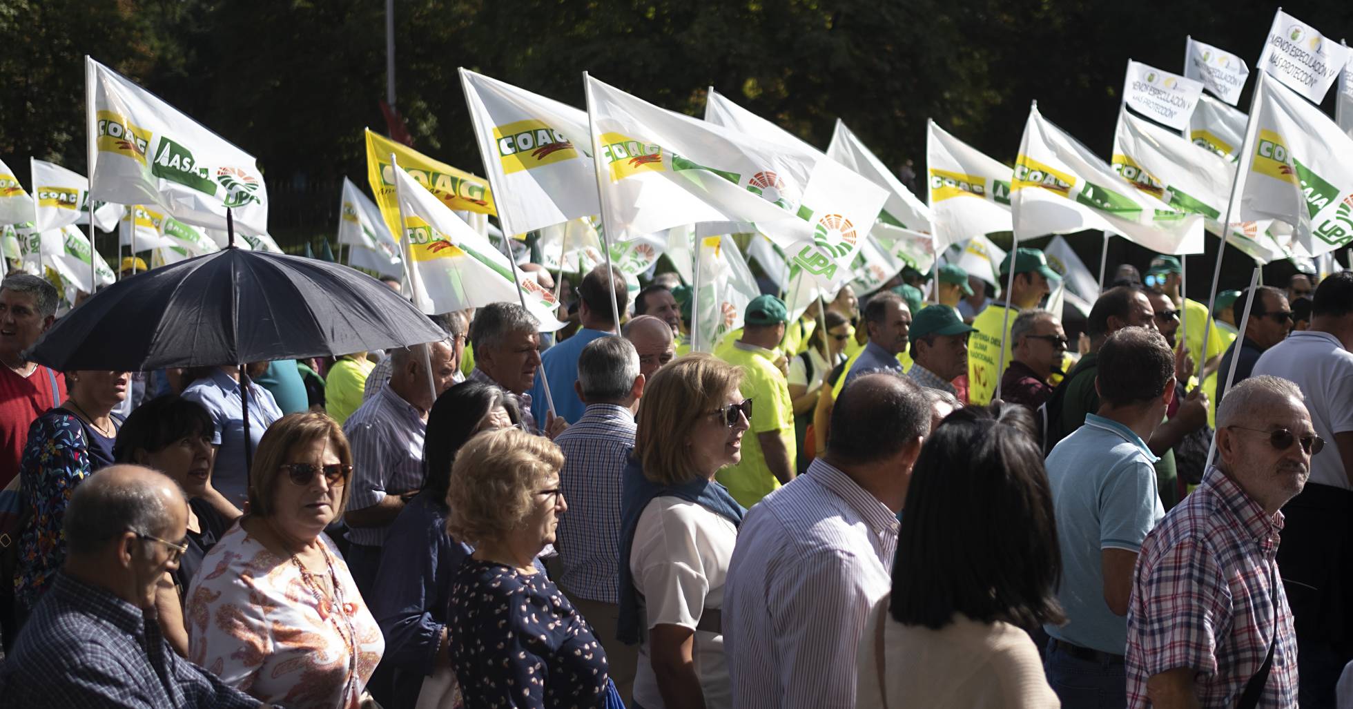 Los aceituneros se manifiestan en Madrid contra caída de precios