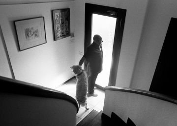 La exposición ‘Objetivo Mordzinski’