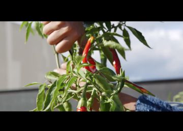 El documental que ha cambiado (a mejor) miles de vidas