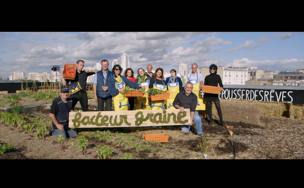 El colectivo 'Facteur graine' agrupa a trabajadores de Correos (la Poste) que participan en el programa Parisculteurs.