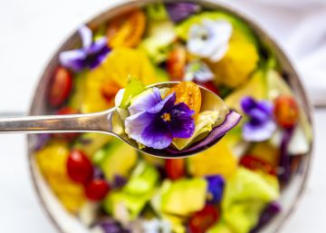 El plato como un jardín