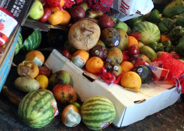 El mundo pierde el 14% de los alimentos desde la recogida hasta el minorista