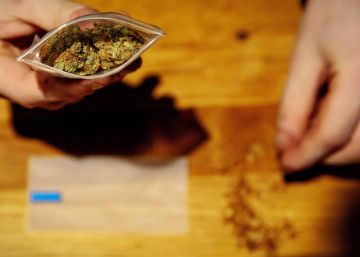 Por una regulación moderna, integral y responsable del cannabis