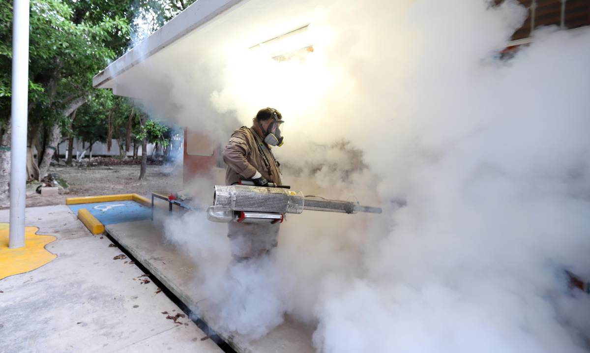 Un operario realiza trabajos de fumigación, en Quintana Roo.