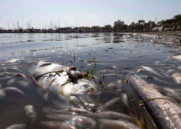 Salvar el Mar Menor