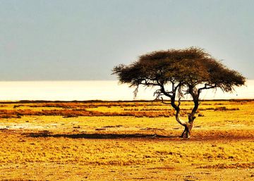 Namibia, el extraño país de África que a todos enamora